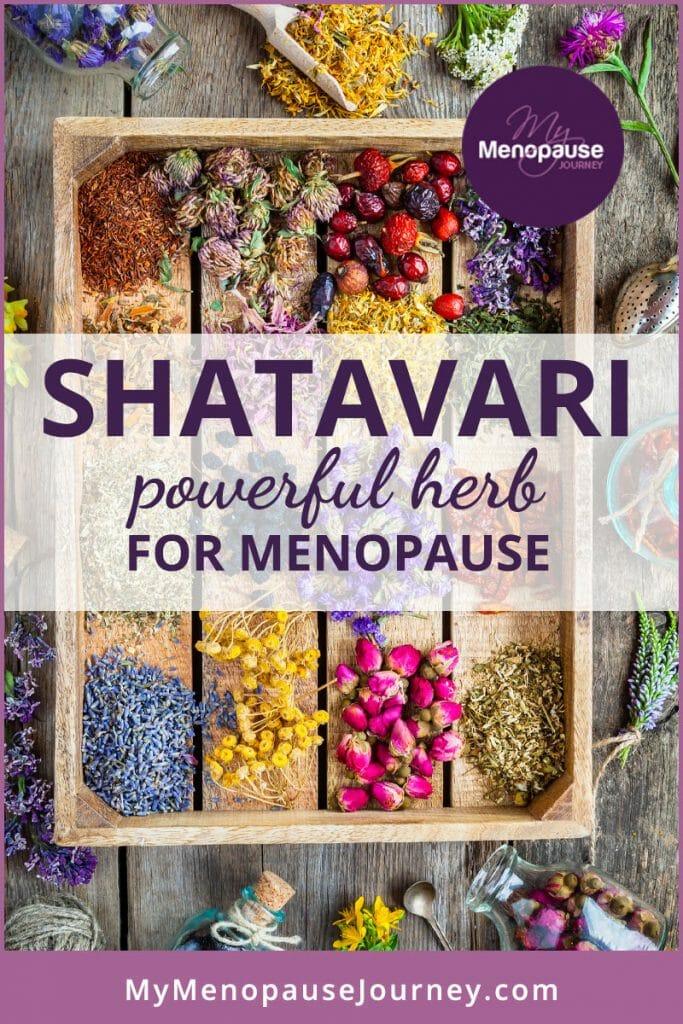Shatavari – Powerful Herb for Menopause