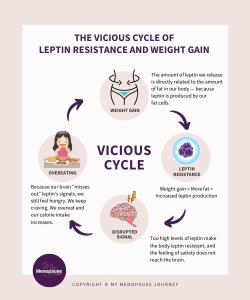 Diagram of the leptin resistance cycle that drives menopause weight gain