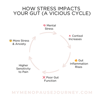 Stress and Gut How Stress Impacts Your Gut (A Vicious Cycle)